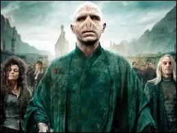 Qui est en couple avec Harry  la fin du tome 7 ?