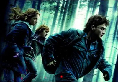 Dans la premire partie qui porte sur lui l'un des horcruxes ?