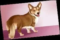 Comment s'appelle le chien de la directrice ?