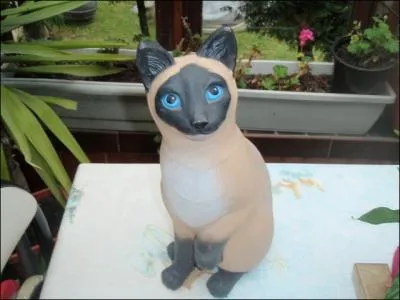 Siamois de la mme couleur de robe que le...