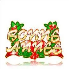 Bonne Anne, on va tous ... . . le champagne !
