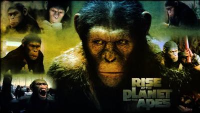 Dans le film, comment s'appelle le singe ?