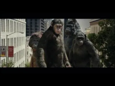 Csar porte un t-shirt de quelle couleur ?