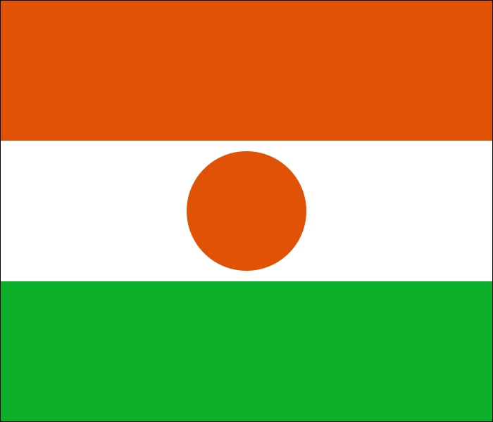 Quel pays a adopté ce drapeau ?