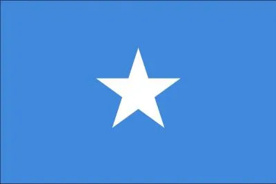 Quel pays a adopt ce drapeau ?