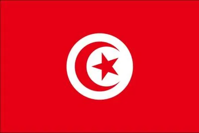  quel pays appartient ce drapeau ?