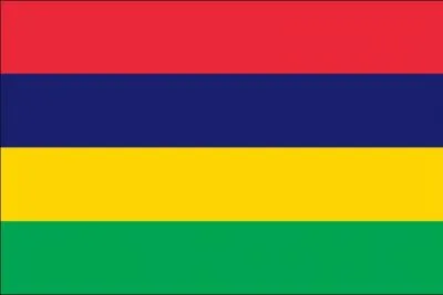 Quel pays a adopt ce drapeau ?