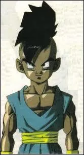 Encore Dragon Ball Z ! Comment Boo devient-il Oob ?
