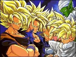 Lequel de ces personnages ne peut tre un Super Sayens ?