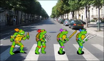 Copie d'Abbey Road avec les Tortues ...