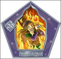 Quelle sorcire poursuivie au Moyen Age s'est fait brler vive quarante-sept fois ? (Tome 3)