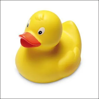 Que fait le canard quand il crie ?