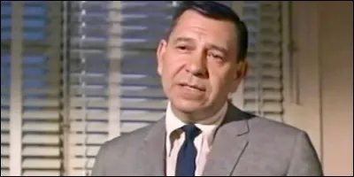 Dans quelle série peut-on voir le Sergent Joe Friday ?