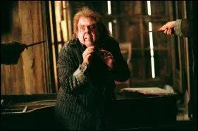Qui est ce personnage qui a trahit les Potter ?