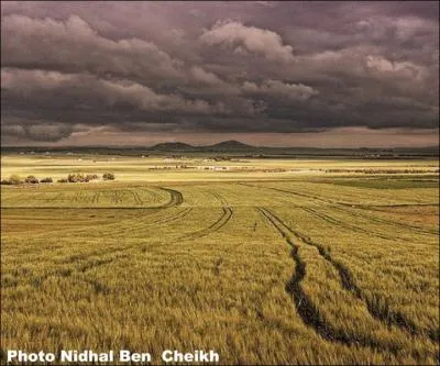 Joueur, puis entraneur de football franais. Didier Des...
