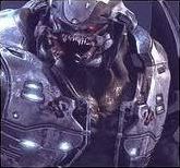 Quiz Halo