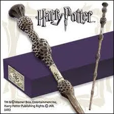 Quel est le nom de la baquette d'Albus Dumbledore ?