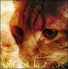 Qui est ce lieutenant qui a �t� nomm� a cette place alors qu'il n'�tait qu'un ancien et qui mort peu apr�s � cause d'une maladie tr�s grave que son gu�risseur n'a pu soigner ?