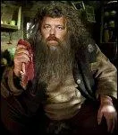 Mais qui prend la place de Hagrid ?