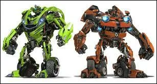 Nous sommes jumeaux.