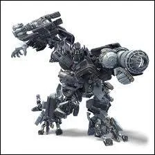 Je suis connu pour mes magnifiques canons.