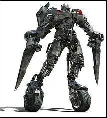 J'apparais dans le premier et le deuxime Transformers.