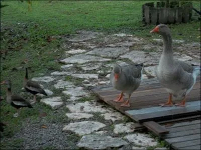 On a des excuses pour l'tre durant les ftes !