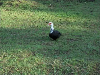 Torturante et d'un autre ge, normalement !
