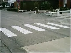 Un piton peut-il recevoir une contravention s'il traverse en dehors des passages pour pitons ?