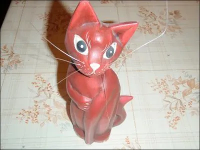 Un gros chat au nom lonin !