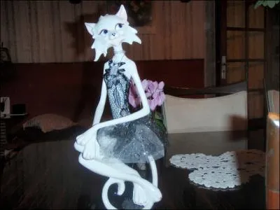 Un gros chat perch !