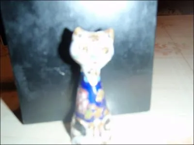 Chette photo est un peu ...