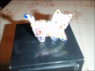 Ne vous moquez pas de che quiz, ne choyez pas ...