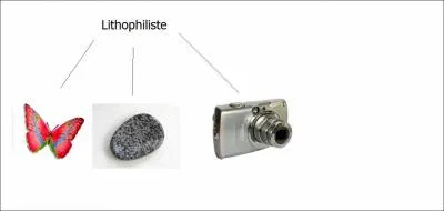Un lithophiliste est un collectionneur de :