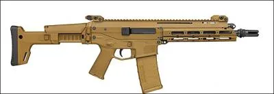 Quelle est cette arme ?