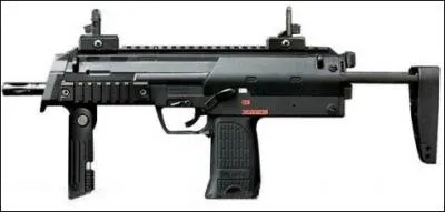 Quel est le type de cette arme ?