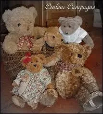Comment s'appelle un collectionneur d'ours en peluche ?