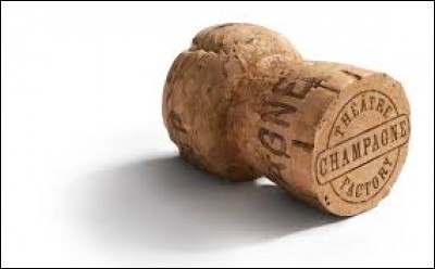 En 1670, Dom Pérignon fit progresser le vin de Champagne et utilise un bouchon de liège. Quelle était son activité principale ?