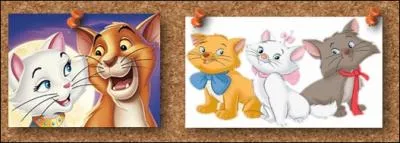 Dans quel film apparat ce chat ?