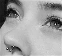 Non, ce n'est pas comme les vaches !