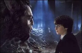 Qui est cette crature parlant  Harry Potter ?