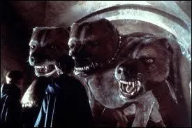 Comment s'appelle ce chien ?