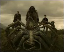 Dans quel tome cette acromantula est-elle morte ?