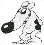 Quel est le nom de leur chien ?