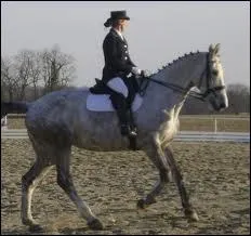 Que fait ce cavalier ?