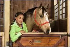 Comment s'appelle ce cheval ?