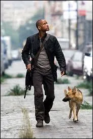 Dans quel film, Will Smith erre-t-il avec son chien Sam dans une ville 'dserte' ?