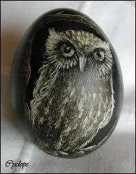 Quel est le cri que ne poussera pas l'oisillon qui sortira de cet oeuf ?