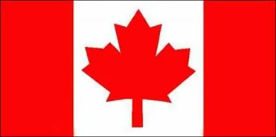 A quel pays correspond ce drapeau et quelle feuille est reprsente ?