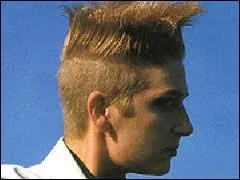 Photo prise juste aprs qu'elle ait mis les doigts dans une prise de courant, ensuite elle a voyag, mais sans vraiment de dsir, qui est-ce ?